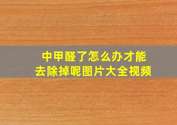 中甲醛了怎么办才能去除掉呢图片大全视频