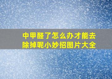 中甲醛了怎么办才能去除掉呢小妙招图片大全