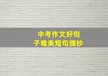 中考作文好句子唯美短句摘抄