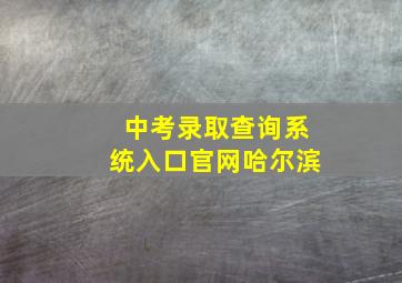 中考录取查询系统入口官网哈尔滨