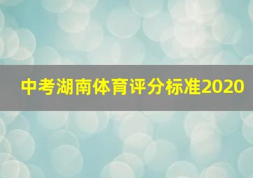 中考湖南体育评分标准2020