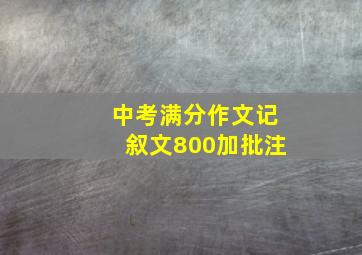 中考满分作文记叙文800加批注