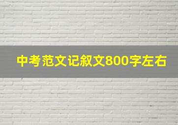 中考范文记叙文800字左右