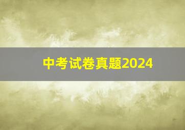 中考试卷真题2024