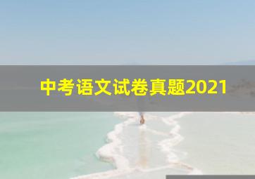 中考语文试卷真题2021