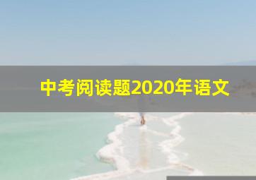 中考阅读题2020年语文