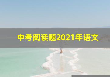 中考阅读题2021年语文