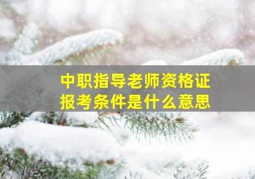 中职指导老师资格证报考条件是什么意思