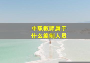 中职教师属于什么编制人员