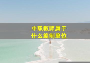 中职教师属于什么编制单位