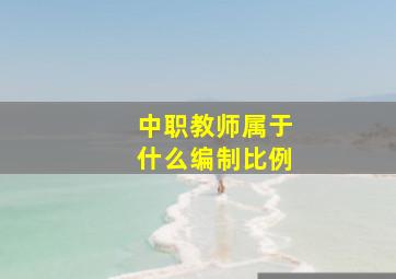 中职教师属于什么编制比例