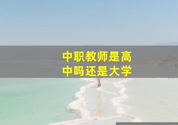 中职教师是高中吗还是大学