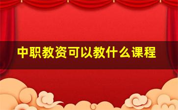 中职教资可以教什么课程