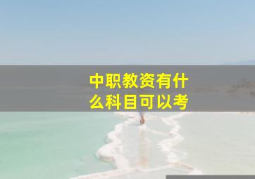 中职教资有什么科目可以考