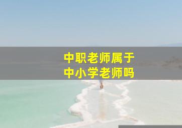 中职老师属于中小学老师吗