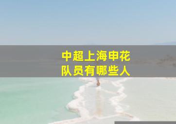 中超上海申花队员有哪些人