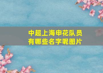 中超上海申花队员有哪些名字呢图片