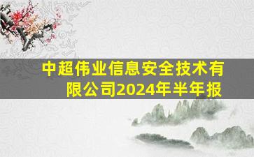 中超伟业信息安全技术有限公司2024年半年报