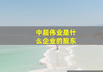 中超伟业是什么企业的股东