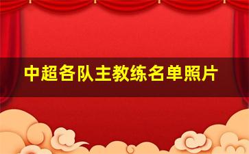 中超各队主教练名单照片