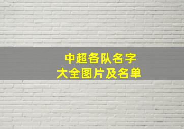 中超各队名字大全图片及名单