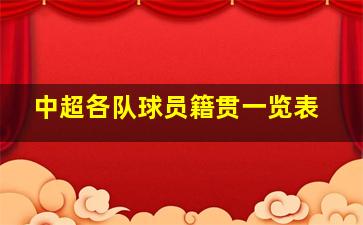 中超各队球员籍贯一览表