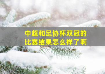 中超和足协杯双冠的比赛结果怎么样了啊