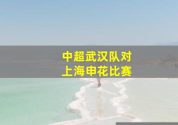 中超武汉队对上海申花比赛