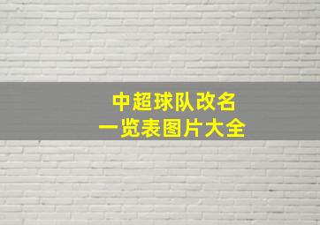 中超球队改名一览表图片大全