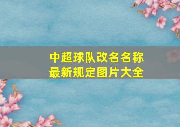 中超球队改名名称最新规定图片大全