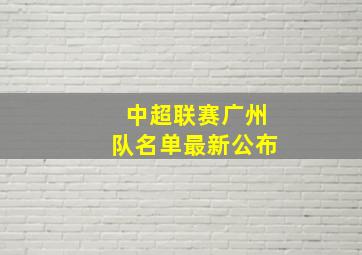 中超联赛广州队名单最新公布