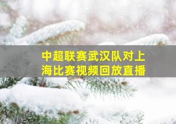 中超联赛武汉队对上海比赛视频回放直播