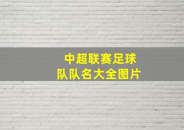 中超联赛足球队队名大全图片