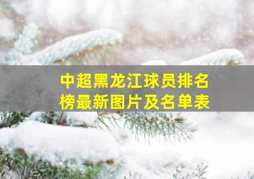 中超黑龙江球员排名榜最新图片及名单表