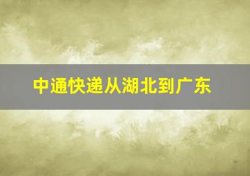 中通快递从湖北到广东