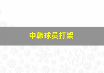 中韩球员打架