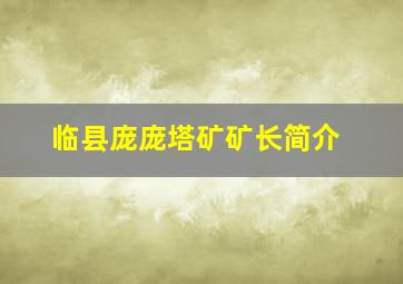 临县庞庞塔矿矿长简介