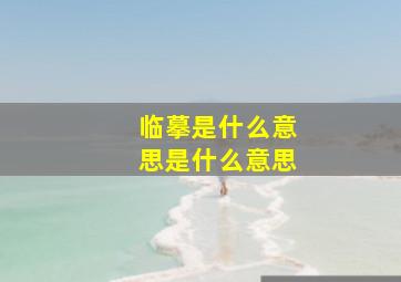 临摹是什么意思是什么意思