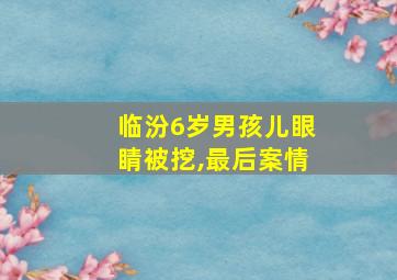 临汾6岁男孩儿眼睛被挖,最后案情