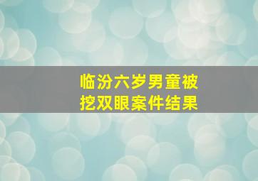 临汾六岁男童被挖双眼案件结果