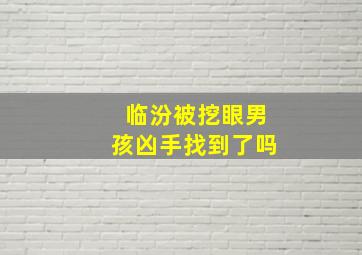 临汾被挖眼男孩凶手找到了吗