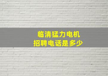 临清猛力电机招聘电话是多少