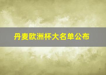 丹麦欧洲杯大名单公布