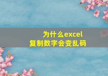 为什么excel复制数字会变乱码