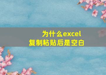 为什么excel复制粘贴后是空白