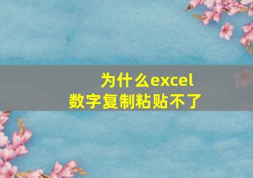 为什么excel数字复制粘贴不了