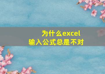 为什么excel输入公式总是不对