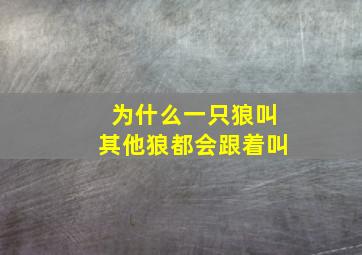 为什么一只狼叫其他狼都会跟着叫