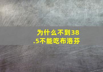 为什么不到38.5不能吃布洛芬