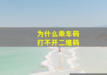 为什么乘车码打不开二维码